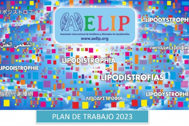 AELIP comparte: AELIP ya trabaja en la elaboración de su plan de trabajo para este 2023